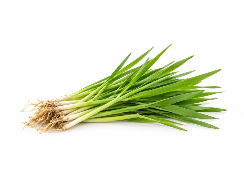 小麦苗粉