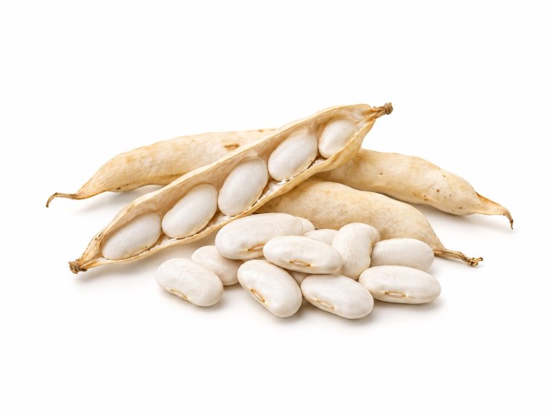 白芸豆提取物