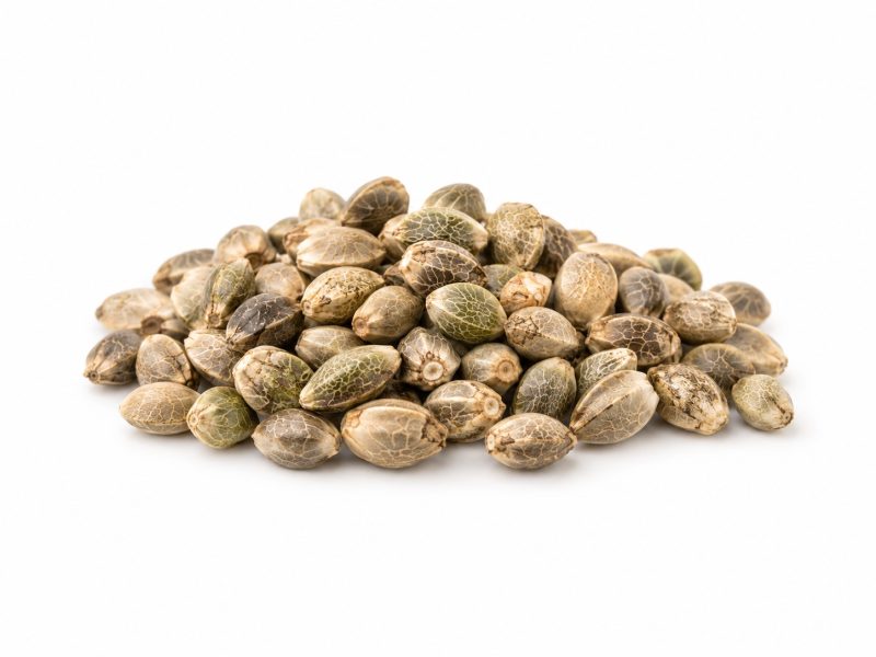 火麻仁提取物